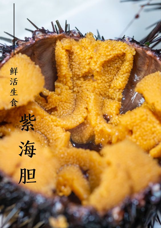 大连人都喜欢的平价海鲜超市，现捞现歹不是梦