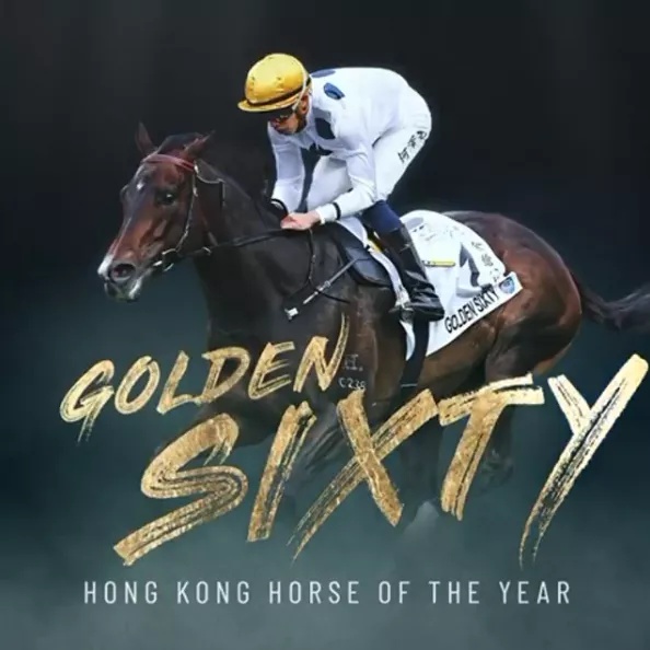 新西兰纯血马马场,新西兰纯血马