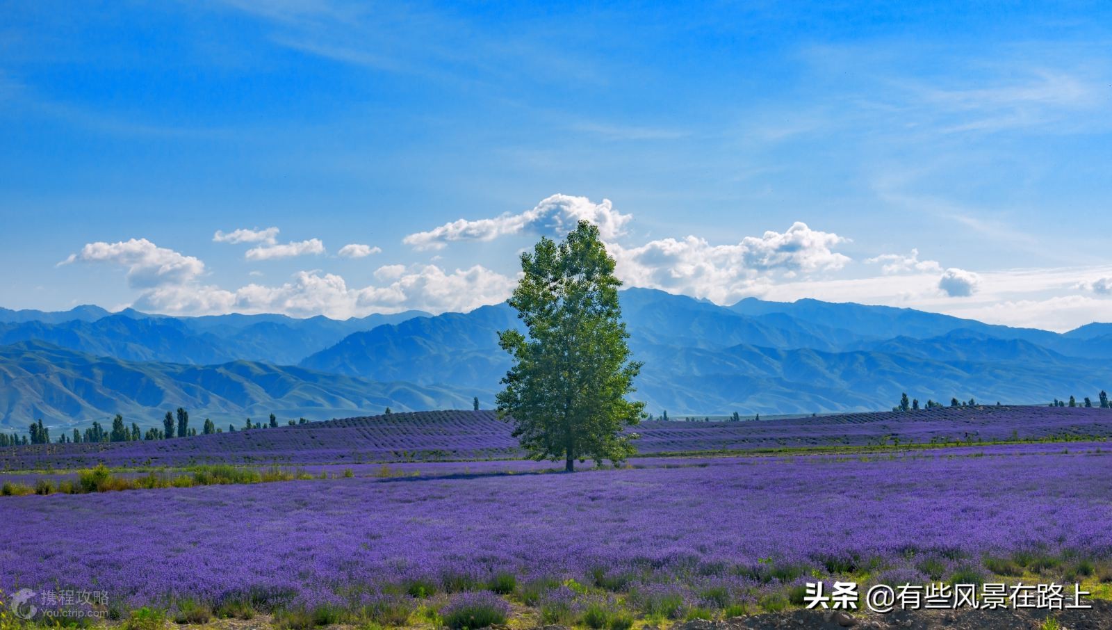 伊犁哈萨克自治州地图,伊犁哈萨克自治州属于哪个省
