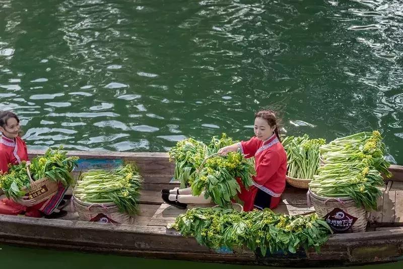 你以为的清远vs现实中的清远,生活在广东清远的真实感受