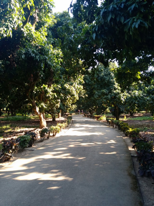 炒股第二十七篇,聊聊炒股的那些趣事