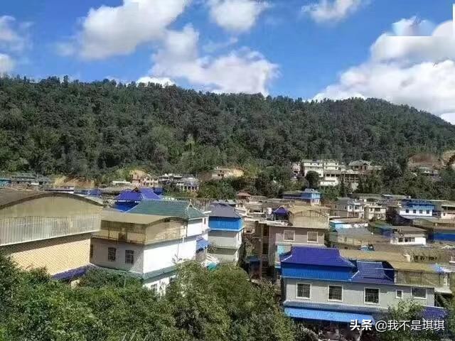 普洱茶真相揭秘切记不懂装懂,普洱茶切忌不懂装懂