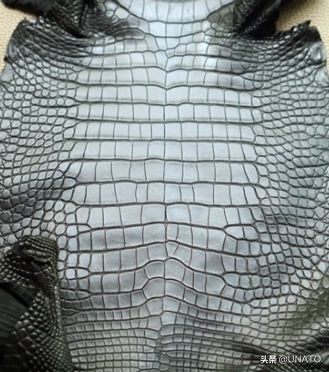 <html>
<head><title>502BadGateway</title></head>
<body>
<center><h1>502BadGateway</h1></center>
<hr><center>nginx</center>
</body>
</html>
<!--apaddingtodisableMSIEandChromefriendlyerrorpage-->
<!--apaddingtodisableMSIEandChromefriendlyerrorpage-->
<!--apaddingtodisableMSIEandChromefriendlyerrorpage-->
<!--apaddingtodisableMSIEandChromefriendlyerrorpage-->
<!--apaddingtodisableMSIEandChromefriendlyerrorpage-->
<!--apaddingtodisableMSIEandChromefriendlyerrorpage-->
