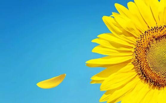 宿迁市儿童医院王晓红主任：预防儿童性早熟，莫让“花儿”过早开放