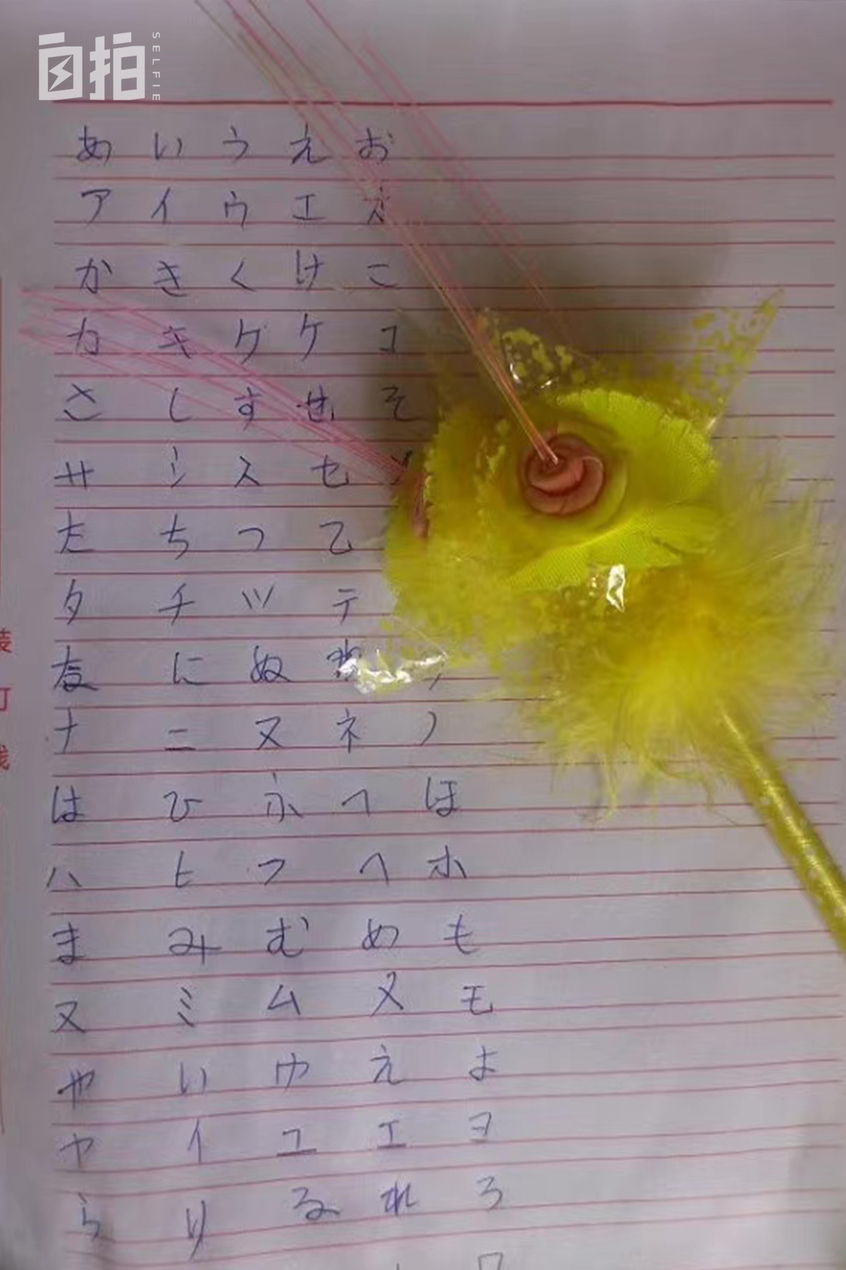 我，16岁辍学到东莞当厂妹，24岁成为日本留学生，靠兼职给家里买了房