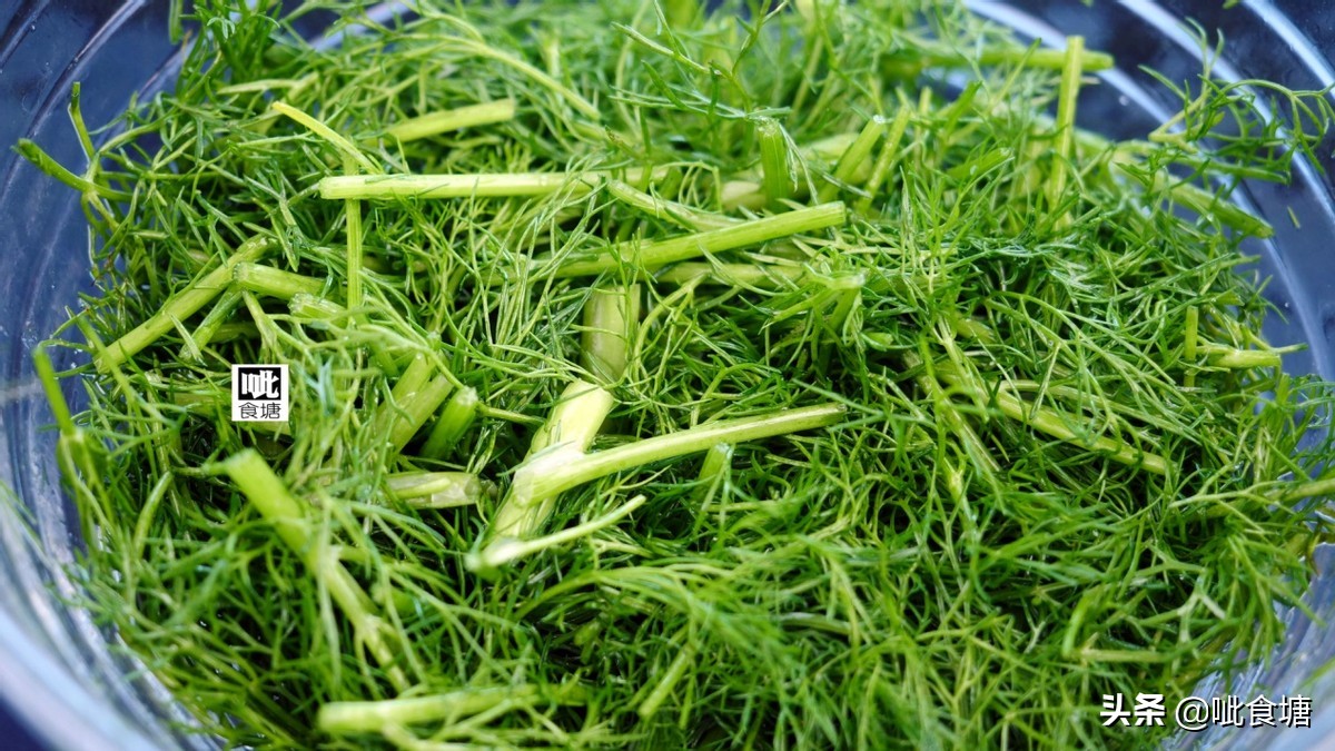 最好吃的茴香馅儿鸡蛋饺子,最爱的茴香鸡蛋馅