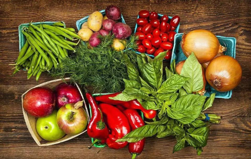 想放弃游泳,想放弃运动怎么办