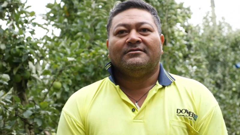 澳洲农场干活,澳洲农场打工工作视频