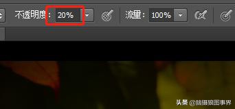 ps摄影后期软件工具使用教程,摄影ps后期工具栏设置