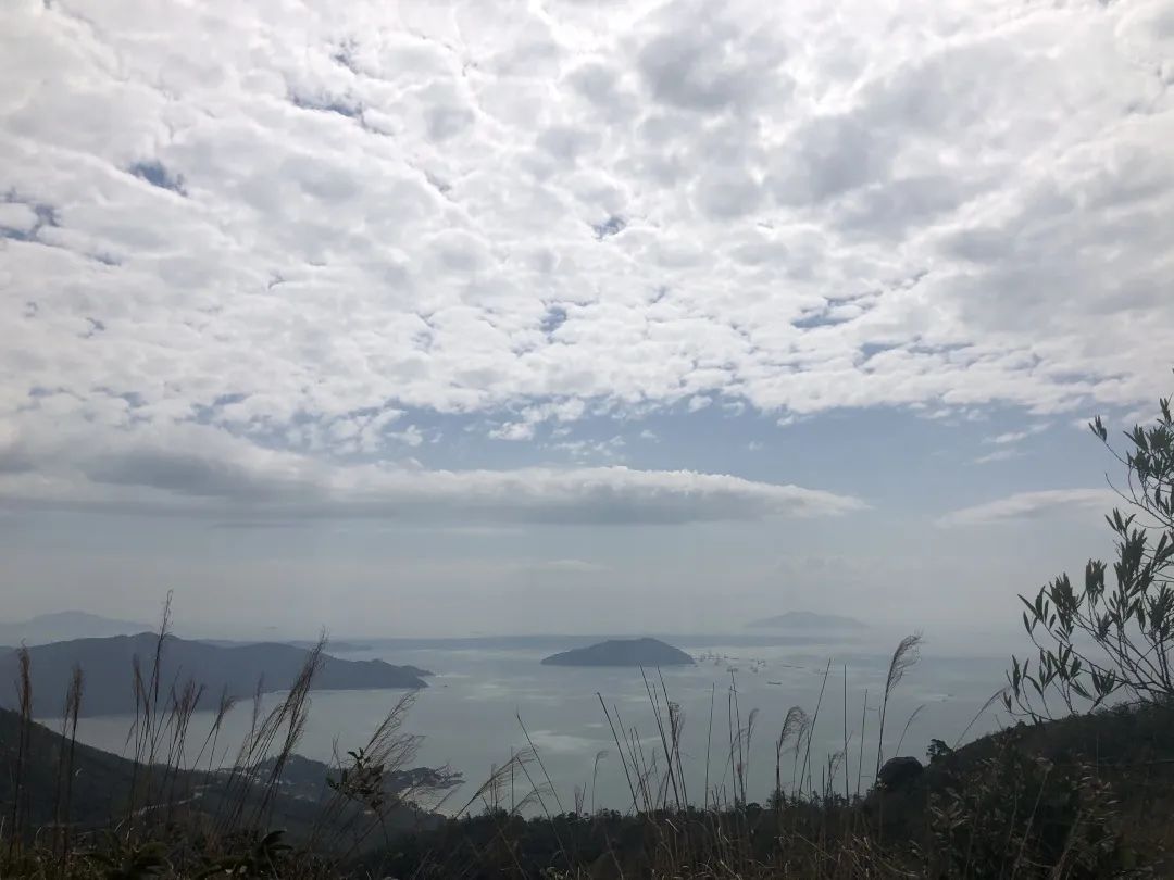 屹立凤凰顶,全览明珠貌