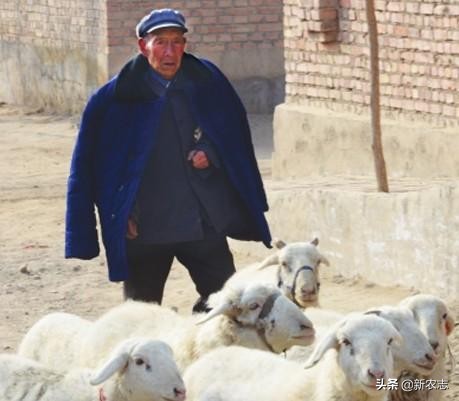 90岁老伯天天劳作，每年能存好几万，干的活还很不错