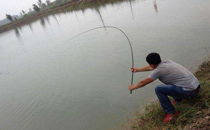 让钓鱼人抓狂和崩溃的事:鱼线打结和上树,教你三招轻松化解!