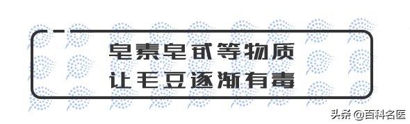 毛豆,这一不留神就让你入院的爱豆,了解一下