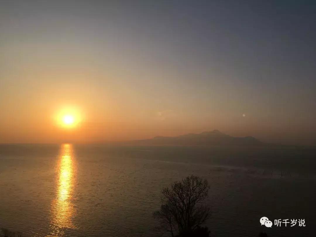 日本东京熊本熊,日本熊本游