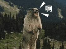 爱尔眼科近视手术问题,40岁做近视手术会面临哪些问题