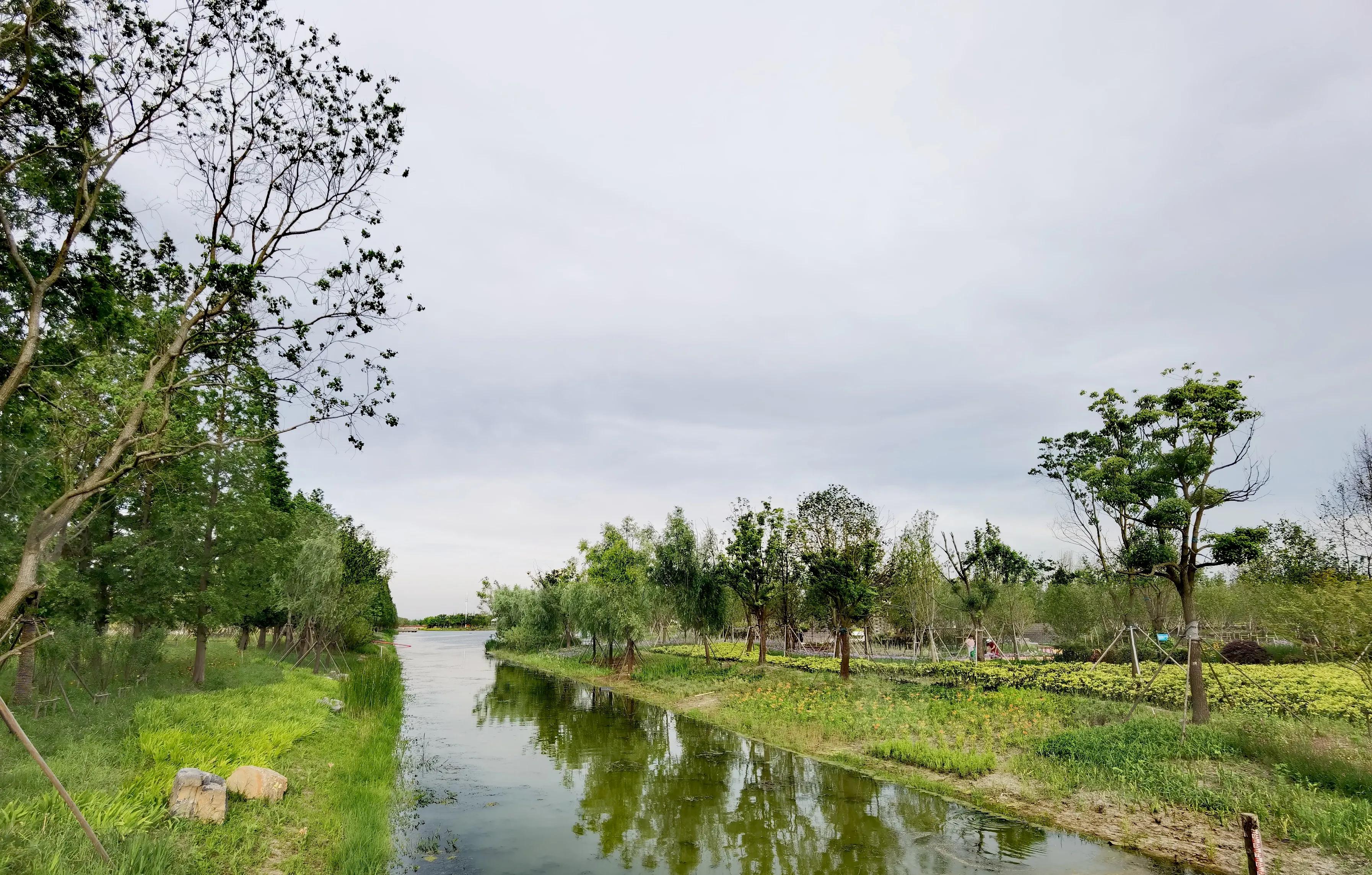 关于崇明花博会,崇明花博会全程花景