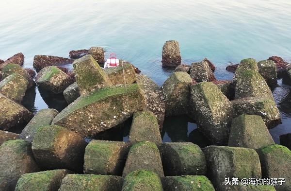 三种有奇效的野钓诱鱼绝招,穴钓钓组图解