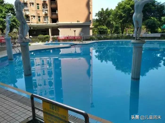 深圳游泳教练培训学校有哪些,深圳成人游泳培训班哪里好