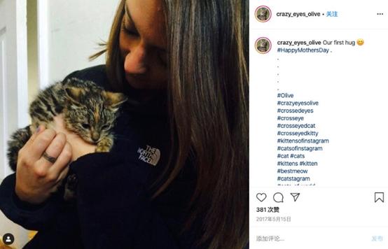 虎斑猫体弱多病,虎斑猫眼睛不圆