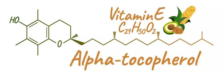 补维生素b猫咪不容易得猫癣,食补补充猫咪的营养