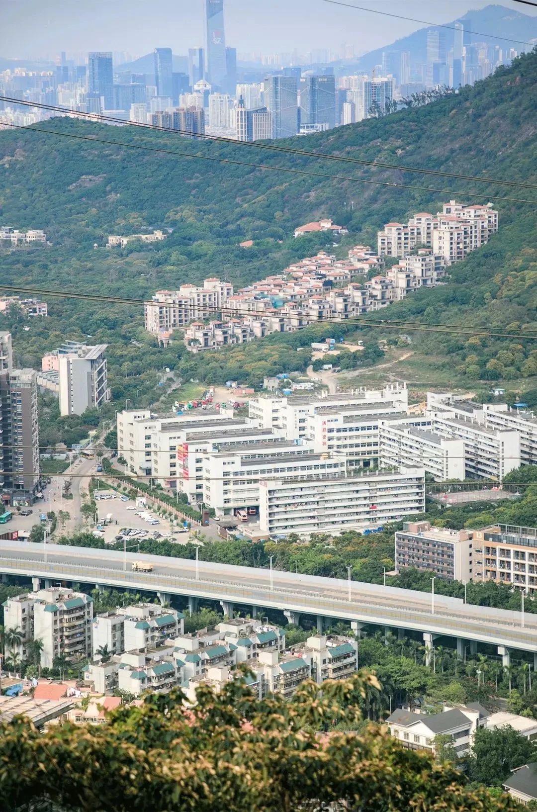 深圳旅游攻略地铁沿线景点,深圳市地铁2号线打卡的24个景点