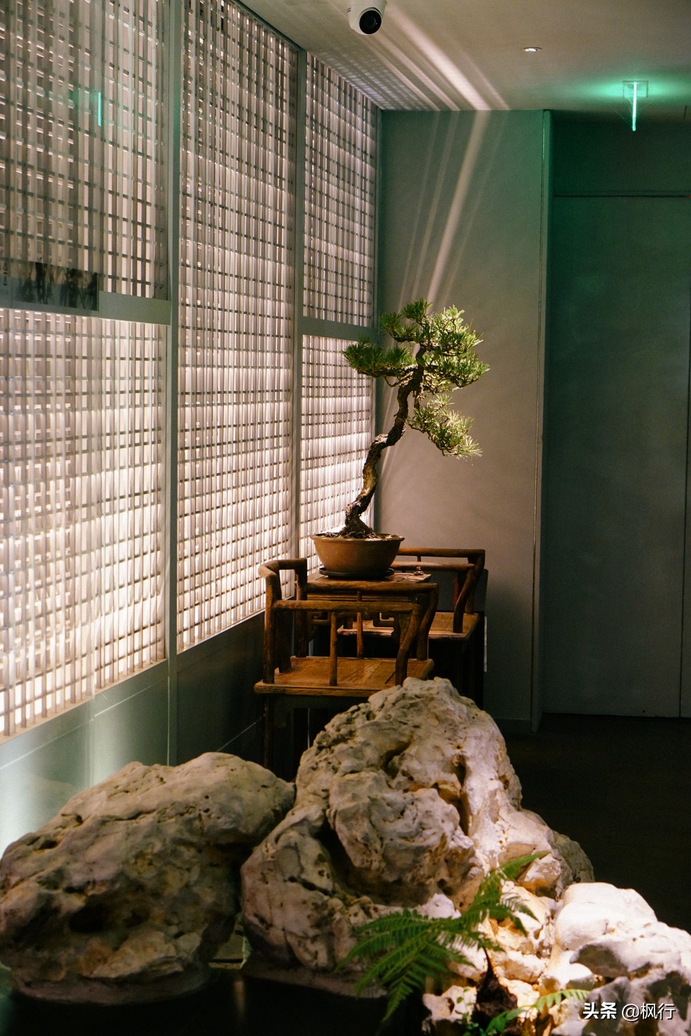 这家北京二环内的粤菜馆，装修获大奖，松板肉、乳鸽、罗氏虾惊艳