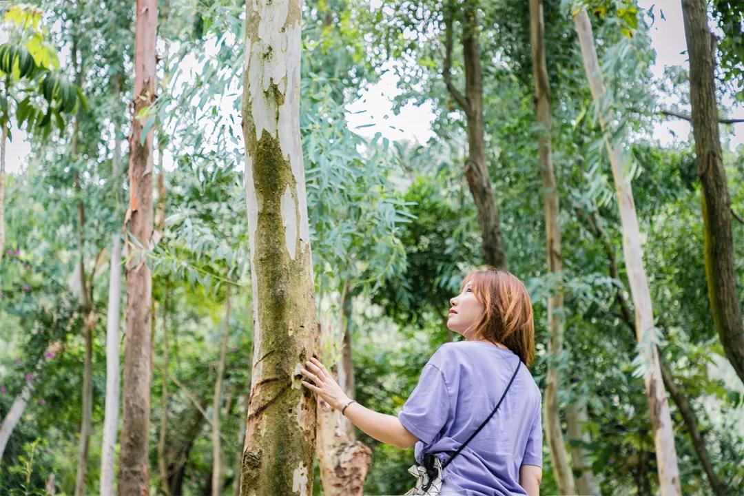 深圳值得打卡的建筑物,深圳最值得打卡的山