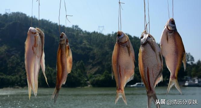 文艺和文艺的碰撞,清远白庙渔村风情