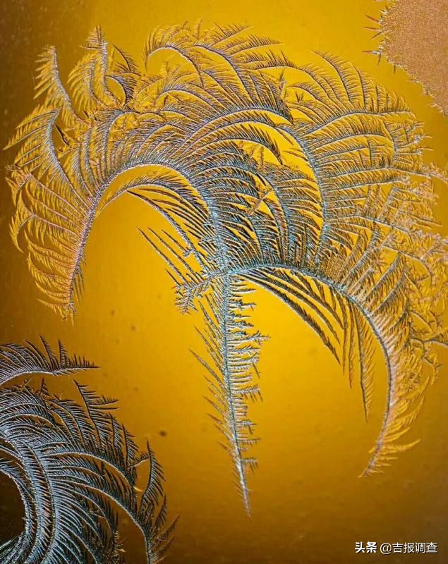 清晨玻璃窗上结满了霜花,唐古拉玻璃窗上的霜花