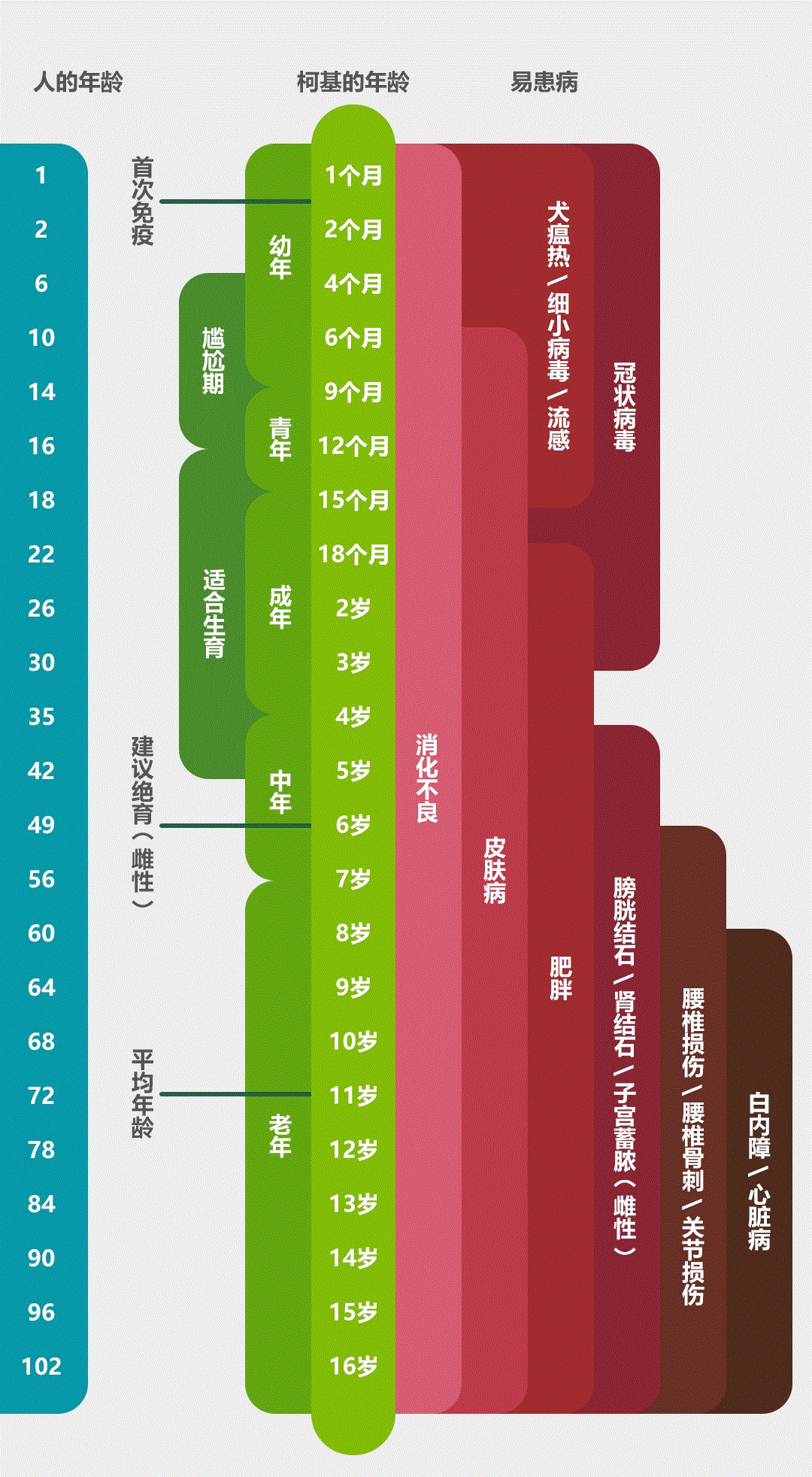 柯基常见疾病指南,柯基尾部疾病