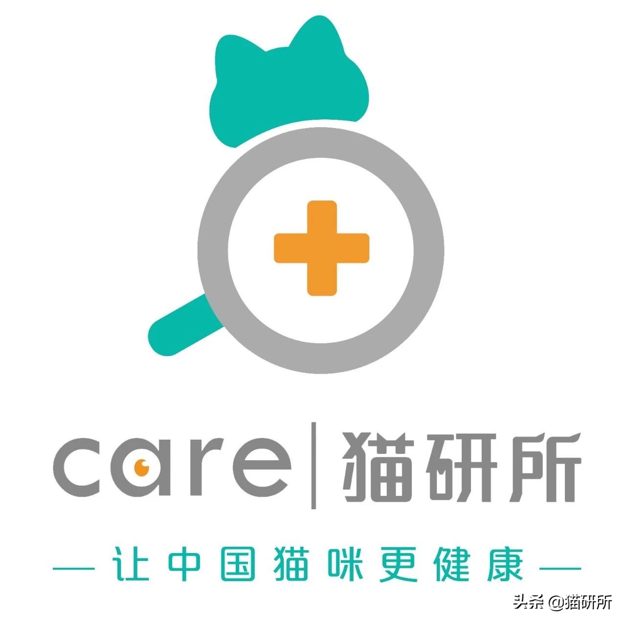 猫咪吃蟑螂该怎么教导,猫咪不小心吃了蟑螂怎么办