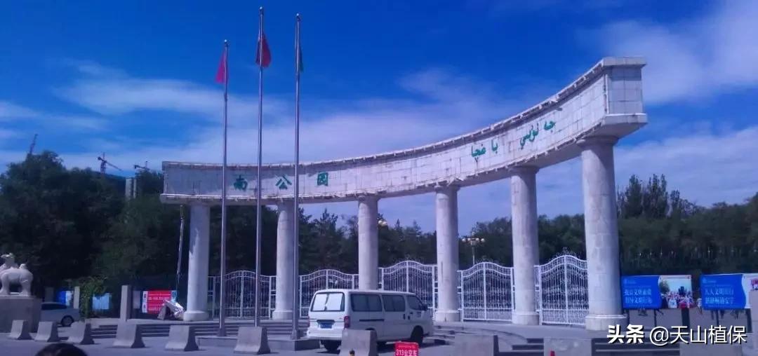 乌鲁木齐90后的南门回忆,乌鲁木齐人民公园记忆