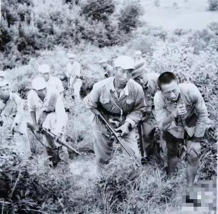 闽西剿匪记,漳平剿匪纪实