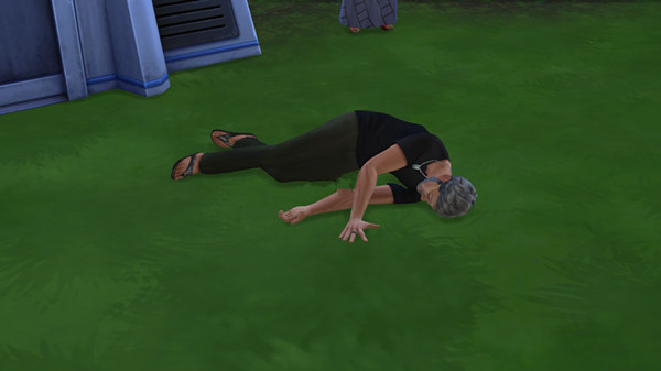 模拟人生4死亡原因,模拟人生4为什么会死