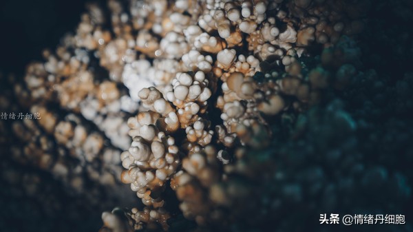 银狐洞风景区旅游路线攻略,游银狐洞