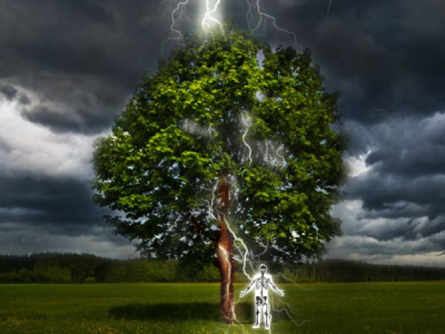 550只羊被雷劈死后续,550只羊被雷劈死原因