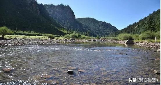 山丹军马场旅游去哪个马场,山丹军马场世界第一大军马场
