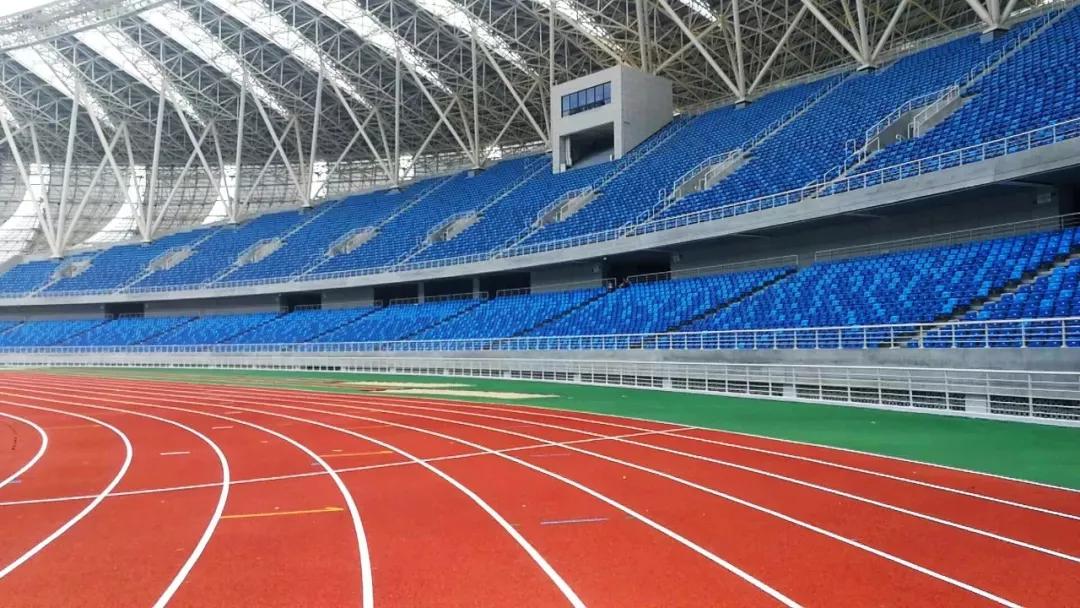 体育场和足球场的区别,体育场和体育馆对比图