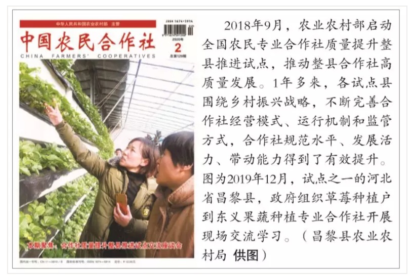 为新农人服务,为果农服务的一支团队