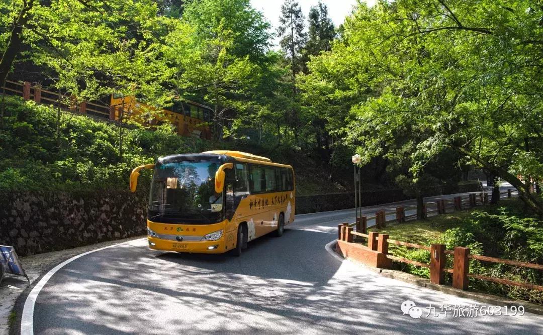 合肥一日游九华山,合肥人免费游九华山的自拍