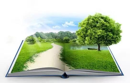 公文病文解读100例,公文病文修改示例