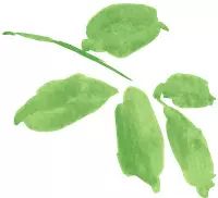 湖南伍子醉最新招聘,湖南伍子醉事件