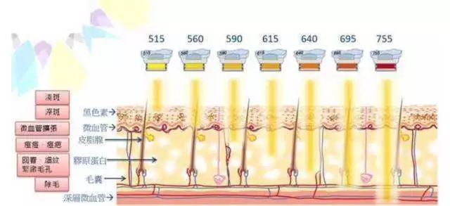 痘痘反反复复教你一招祛痘不再难,为了祛痘曾经你试过哪些方法