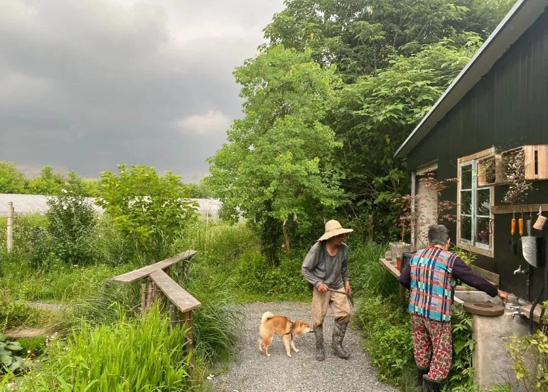 最会说情话的人全集,最会说情话的人