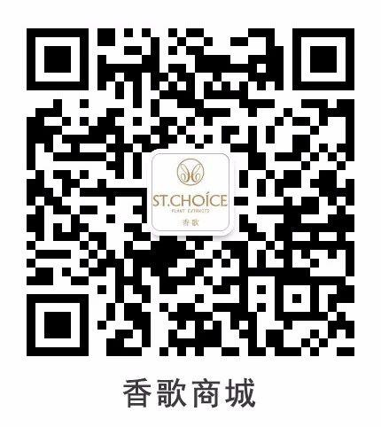 鑱氭ⅵ鍓嶈鑺傜洰,鑱氭ⅵ鍓嶈