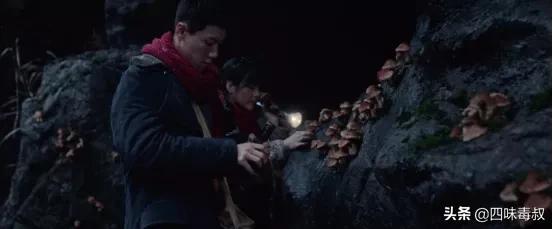 鬼吹灯之黄皮子坟像人还是像神,鬼吹灯之黄皮子坟评价