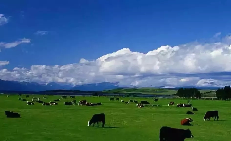 舌尖上的中国之福建美食篇粥,舌尖上的中国闽菜合集