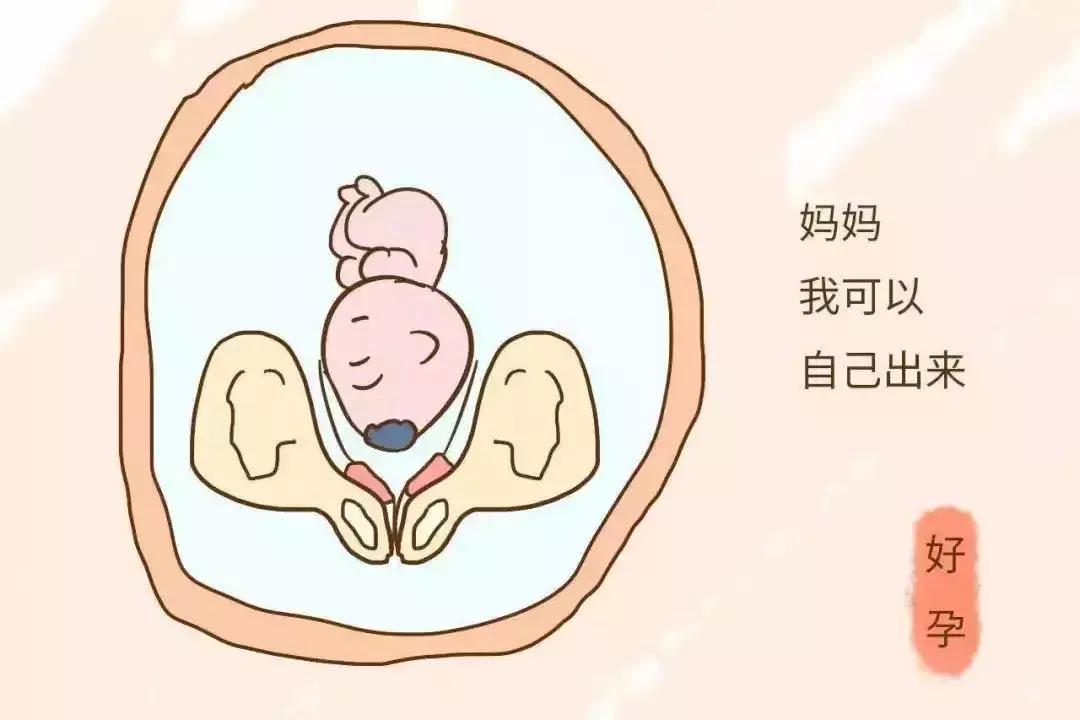 广州市月子中心最新排行榜总结,广州市番禺区月子中心排行榜