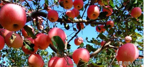 大连特色农产品有哪些,辽宁省农产品地理标志产品都有啥