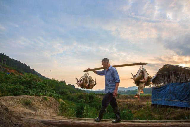 大量储存活鱼的四种方法,活鱼死了直接放入冰箱可以保鲜吗